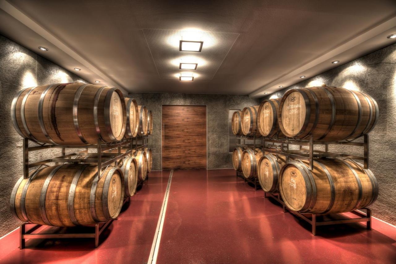 Weingut Apartment Hildegard Gangl Illmitz Dış mekan fotoğraf