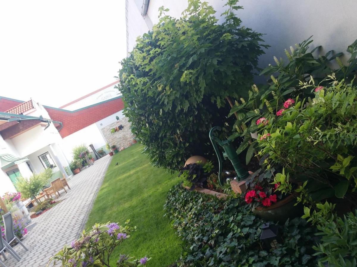 Weingut Apartment Hildegard Gangl Illmitz Dış mekan fotoğraf