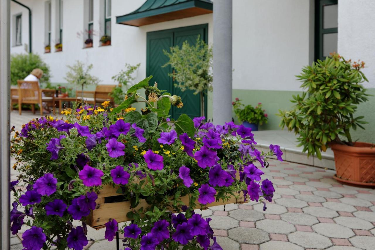 Weingut Apartment Hildegard Gangl Illmitz Dış mekan fotoğraf
