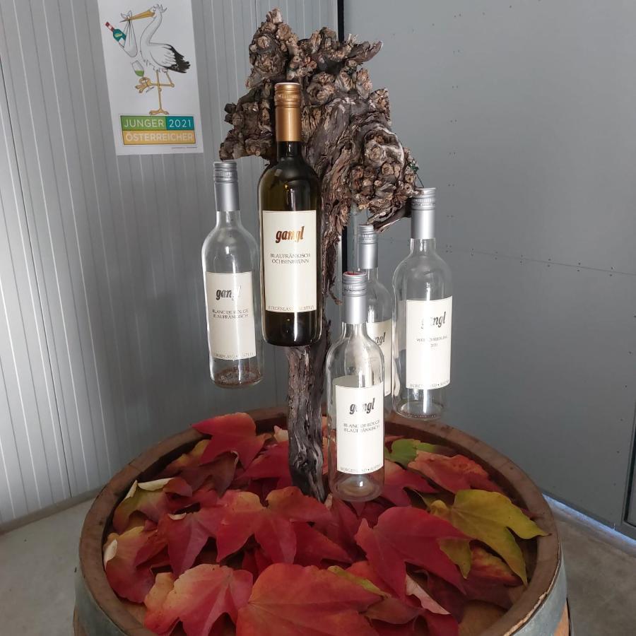 Weingut Apartment Hildegard Gangl Illmitz Dış mekan fotoğraf